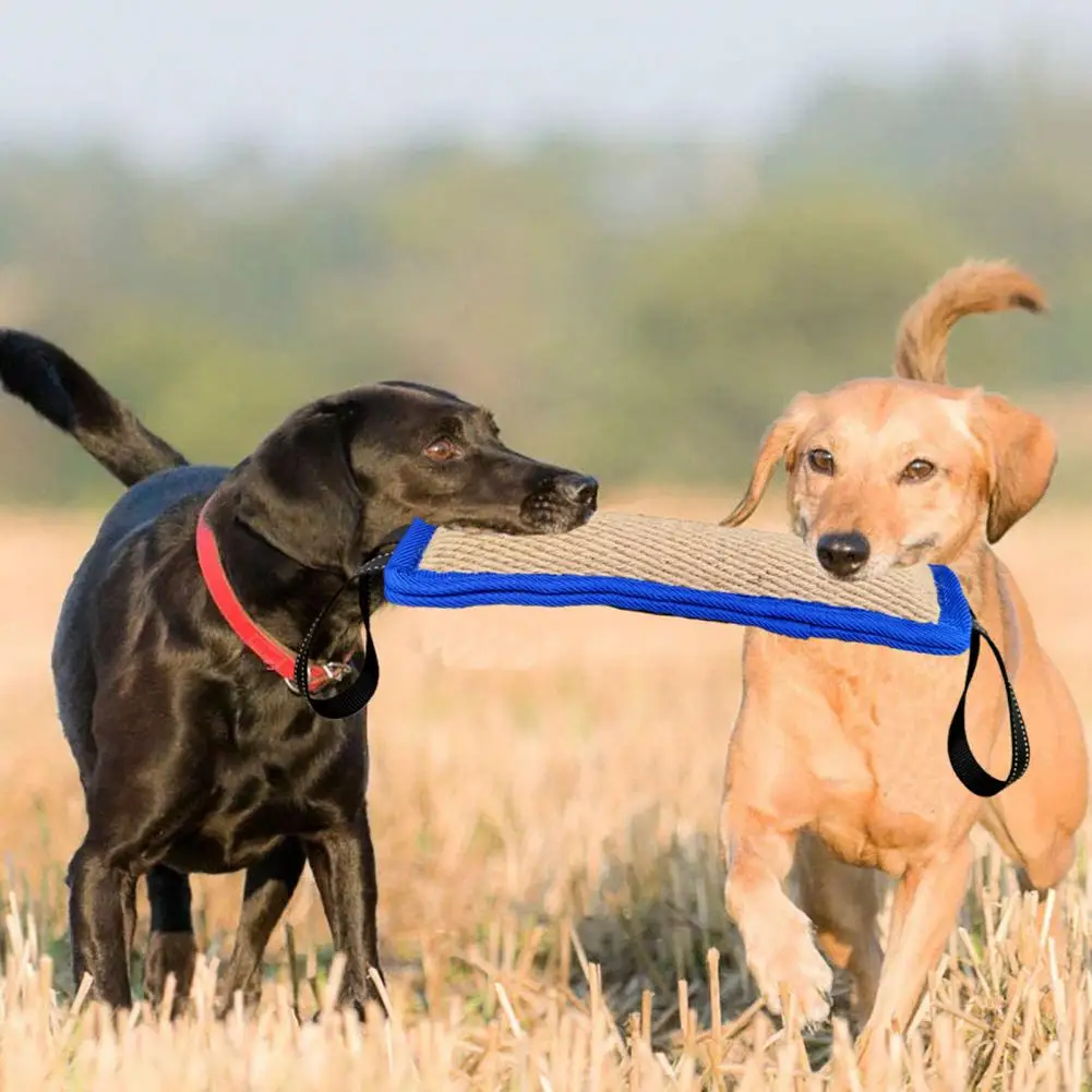 Dog Bite Stick Easy to Grip Interactive Dog Bite Toy Bite Resistant Dog Training Bite Pillow Toy Large Dogs Pet Stick Bite Toy