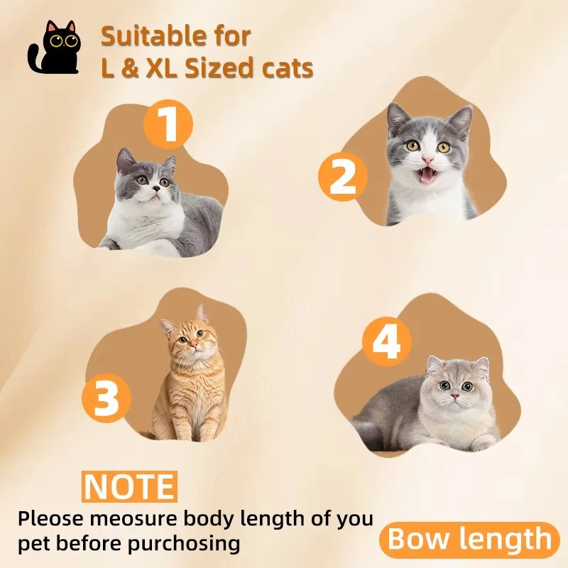 All-in-One Cat Exercise Wheel Integrated Rest Area, Feeding Station & Play Zone, Multi-Functional Pet Activity Center
