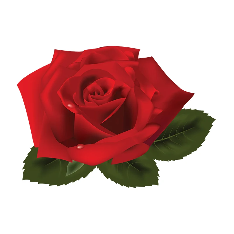 M716 Gorgeous Red Rose Wall Stickers Bathroom Toilet Decor Living Room Cabinet Refrigerator Home Decoration
