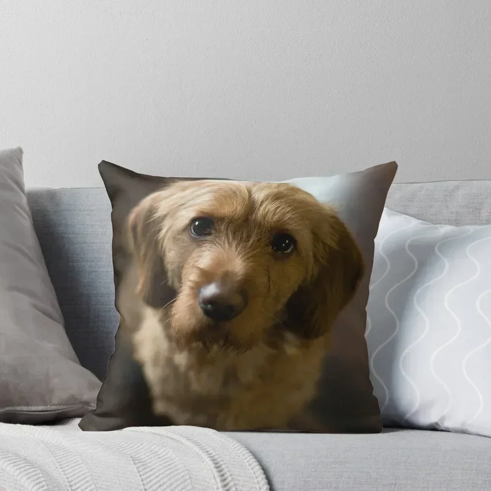 

Basset Fauve de Bretagne Throw Pillow New year ornamental pillows Christmas Throw Pillows Covers pillow