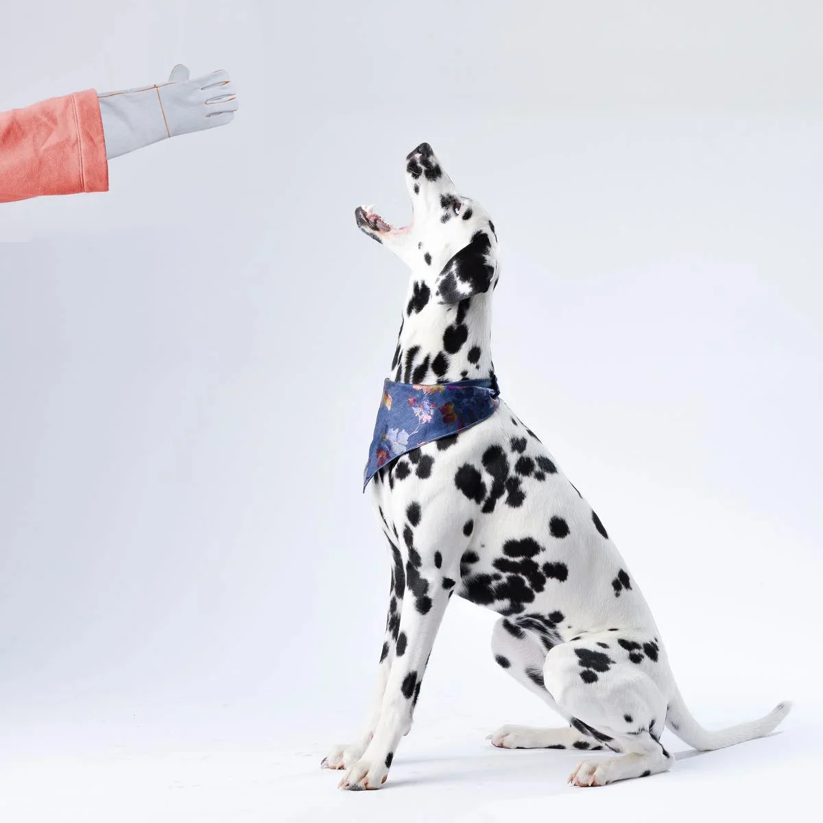 

1 Pair Anti-Bite Gloves Thickened Cowhide For Pet Protection Cooking Barbecue Camping Soldering Heavy Duty Heat