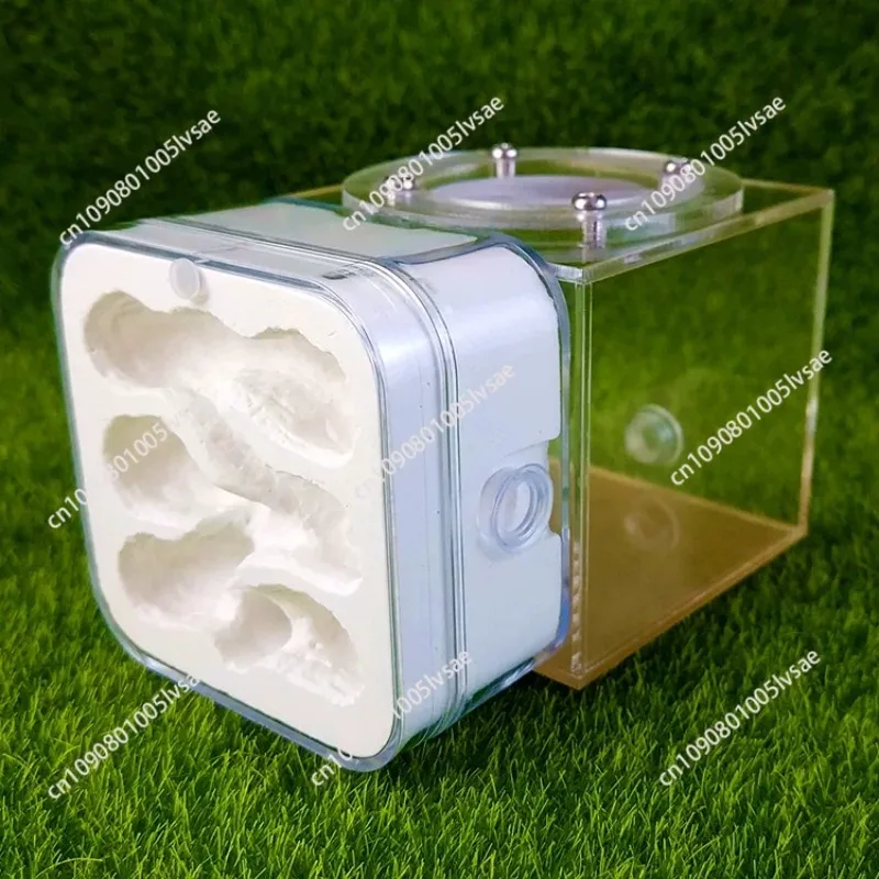 Upgraded Q-version of ecological nest, high-end combination nest, ant breeding workshop, ant nest