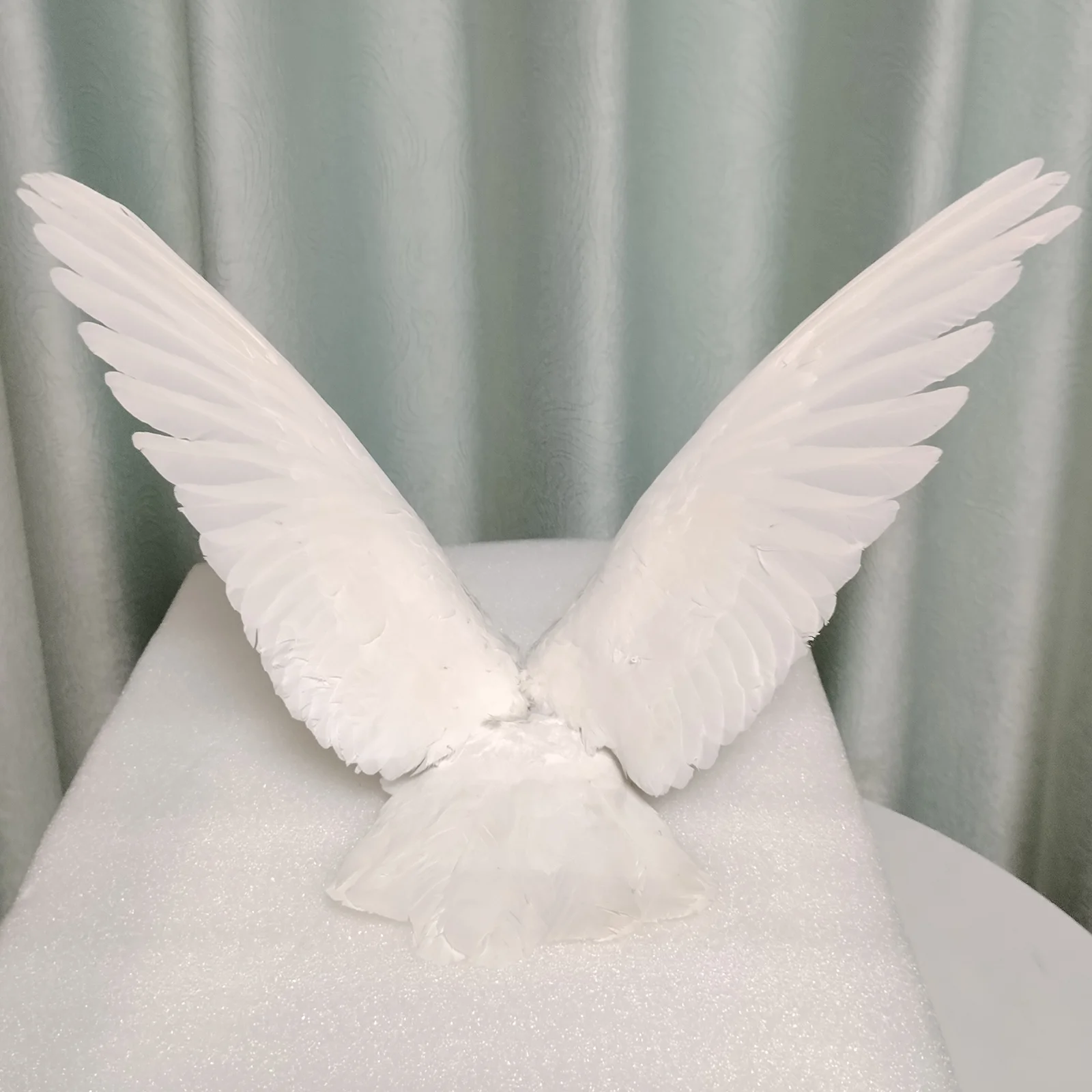 Real Pigeon Wings, Complete Pigeon Wings per Pair, White Feathers Flying for Arts Craft Garden Tree Decor Ornament DIY Materials