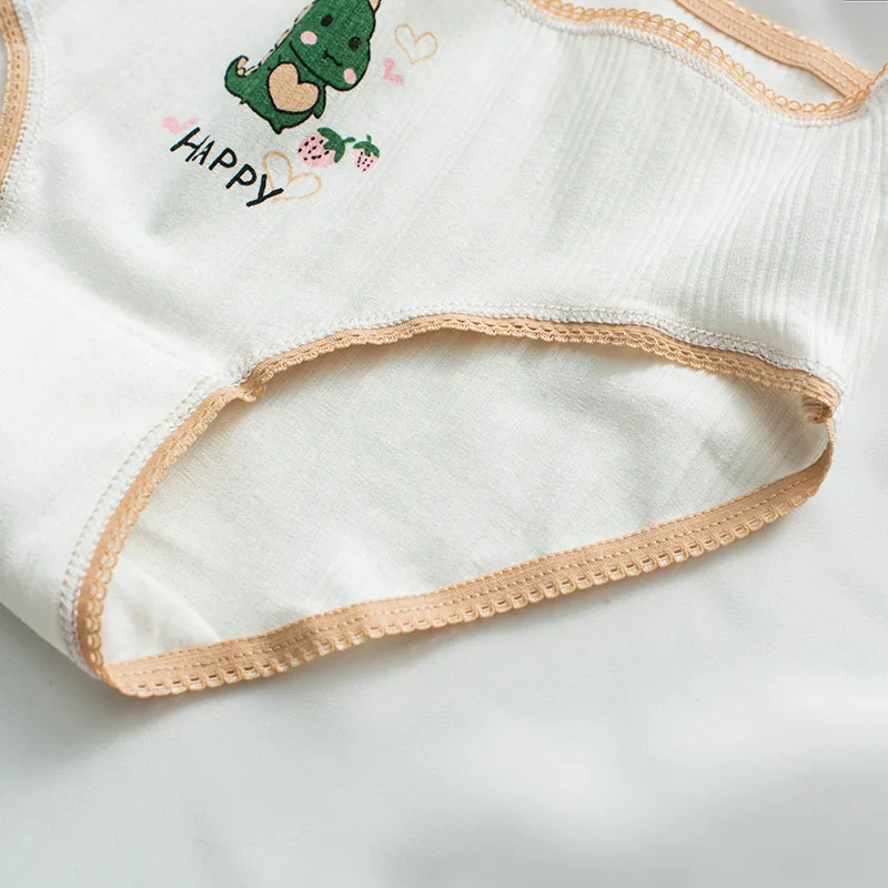 3PCS/Set Panties for Woman Cartoon Cute Animal Green Dinosaur Briefs Print Cotton Underwear Female Ladies Sexy Lingerie Pantys