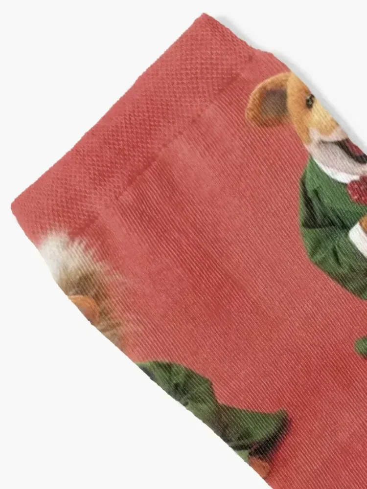 Basil brush Socks aesthetic cycling Socks For Men Women's