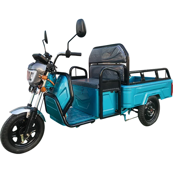 Wholesale Customized Good Quality Adult Tricycle Electric Electric Tricycles Bicycle Electric Tricycle Cargo