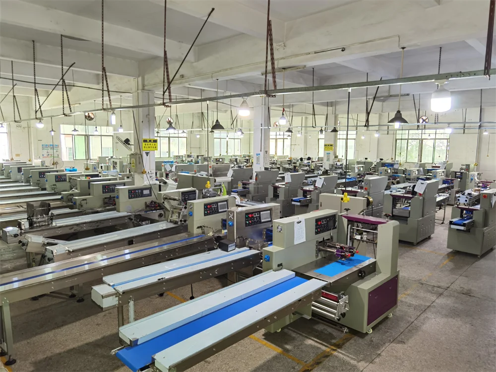 Horizontale Verpackungsmaschine für ganzes Hähnchen und frisches Fleisch für gefrorene Squab-Lebensmittel, Plastiktüten-Füllanwendung