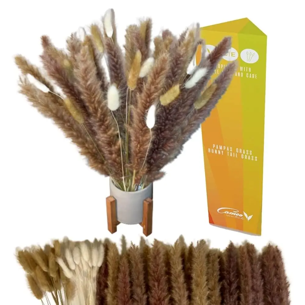 

Luxury Mini Pampas Grass Small - 18"" Pompass Grass Branches Faux With Bunny Tail, Artificial Pompas Grass, Dried Pompous Grass