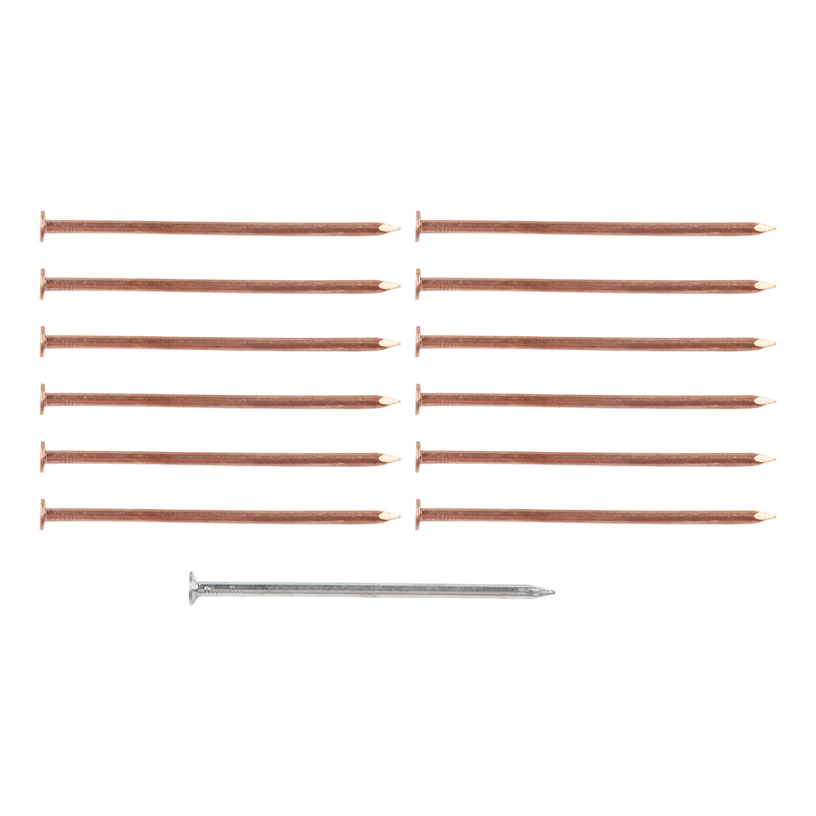 4 Inch Copper Nails for Tree For Killing and Stump Removal 13 Piece Set with Extra Steel Nail for Enhanced Use