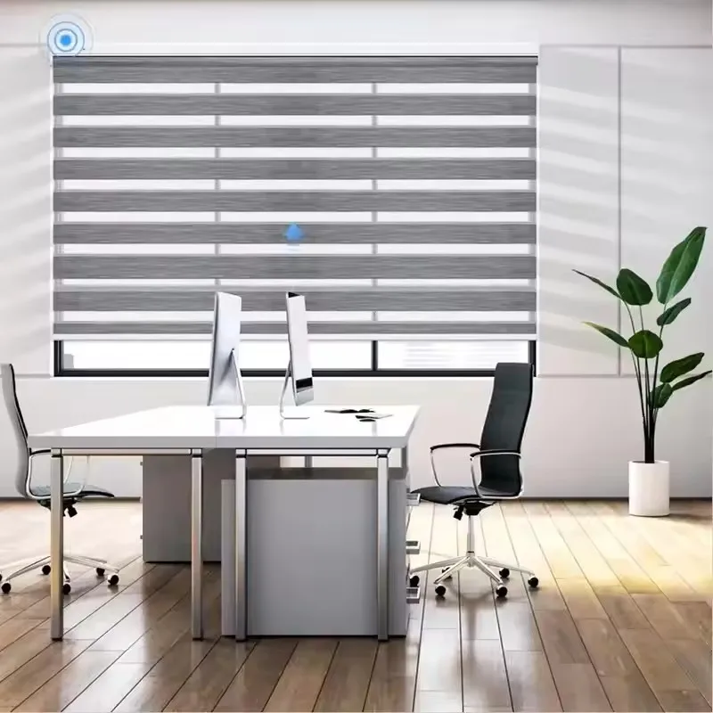 2025 Customizable Zigbee Motor Waterproof Uv Protection Fabric Connect Google Alexa Motorized Zebra Roller Blind For Windows