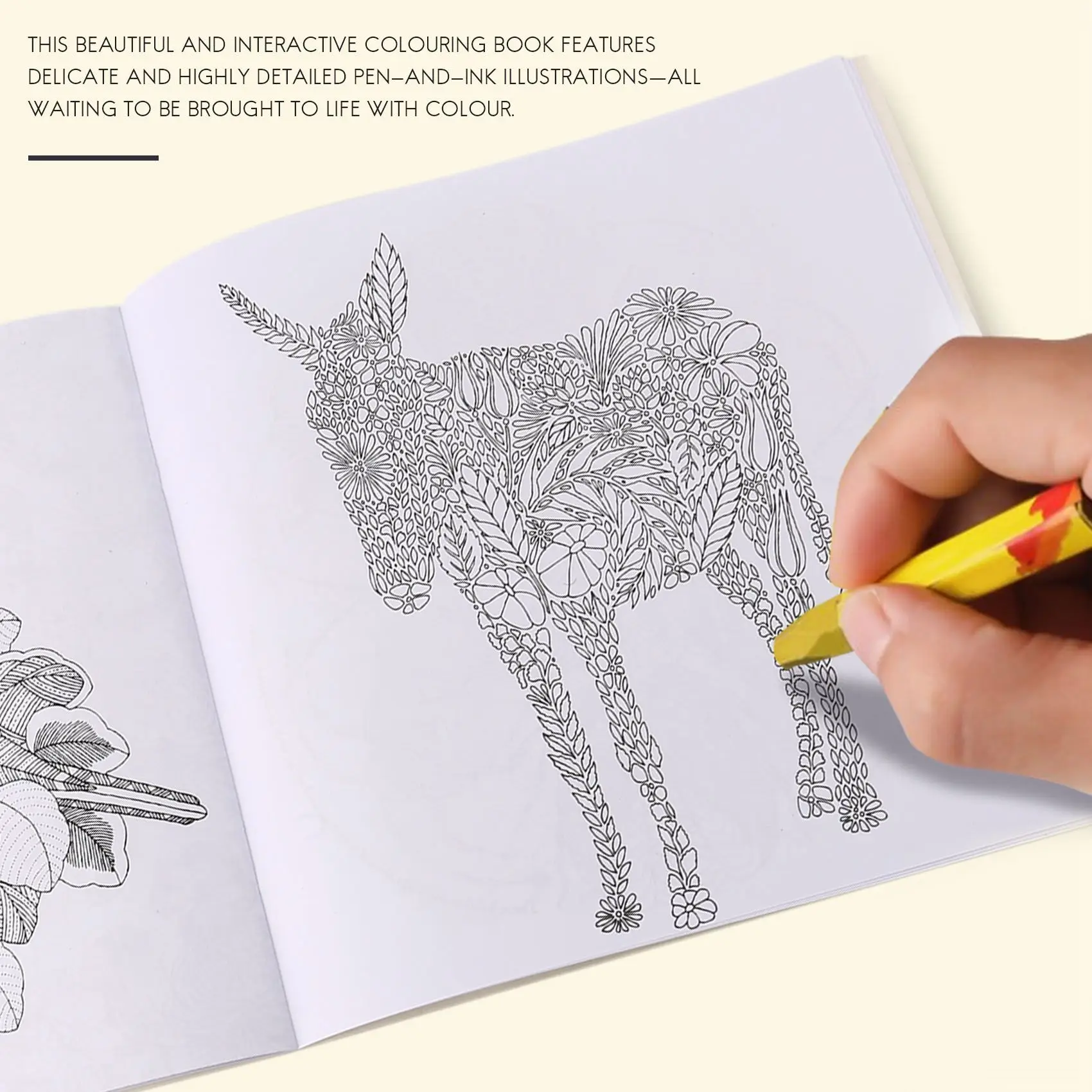 Livre de coloriage du royaume des animaux pour enfants et adultes, livre de peinture