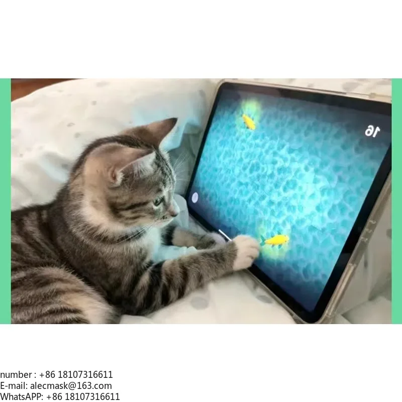 

Pet game tablet notebook teasing cat toy dog anti-scratch and anti-bite