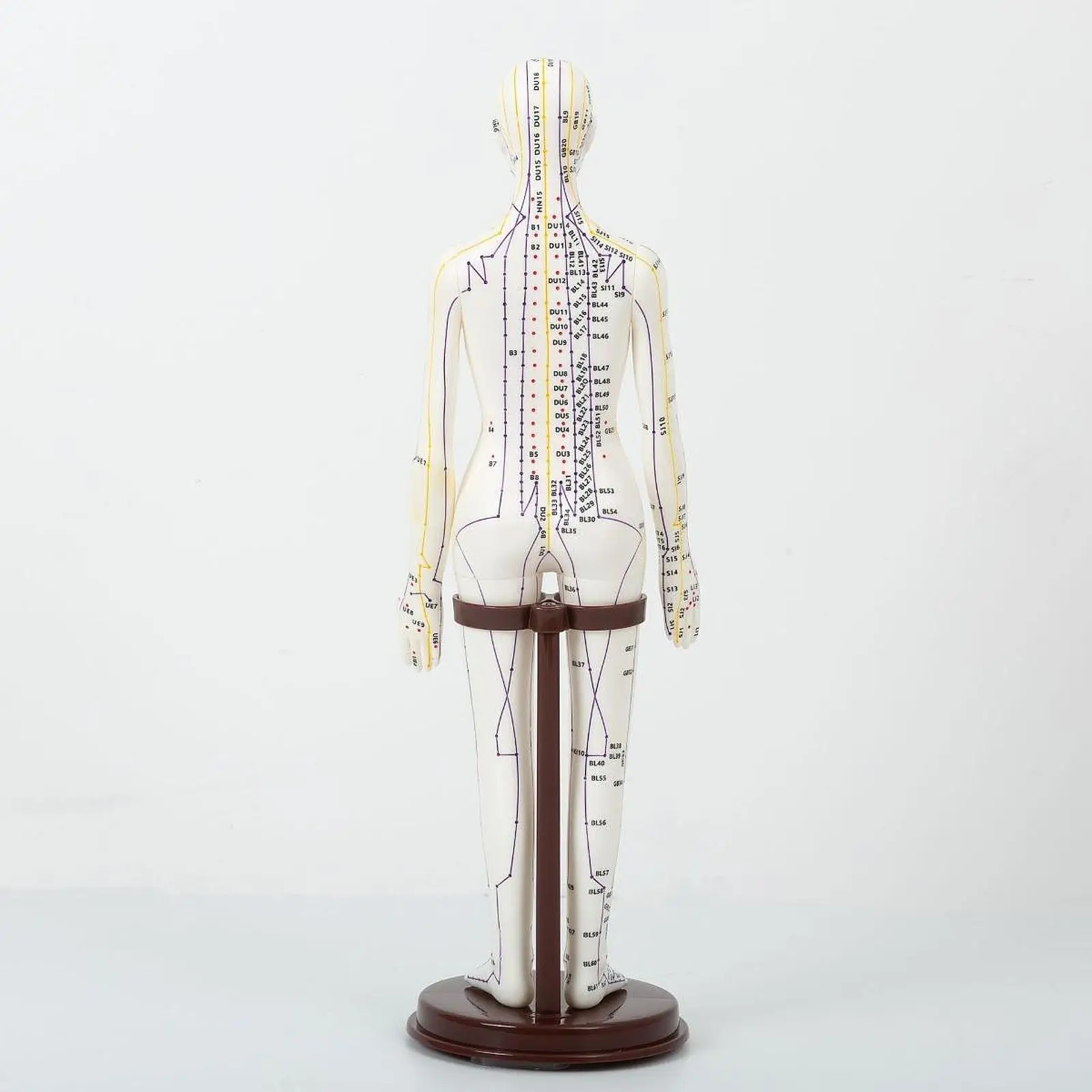 Thumbnail 4 - #10 Best Acupuncture Models to Buy In 2026