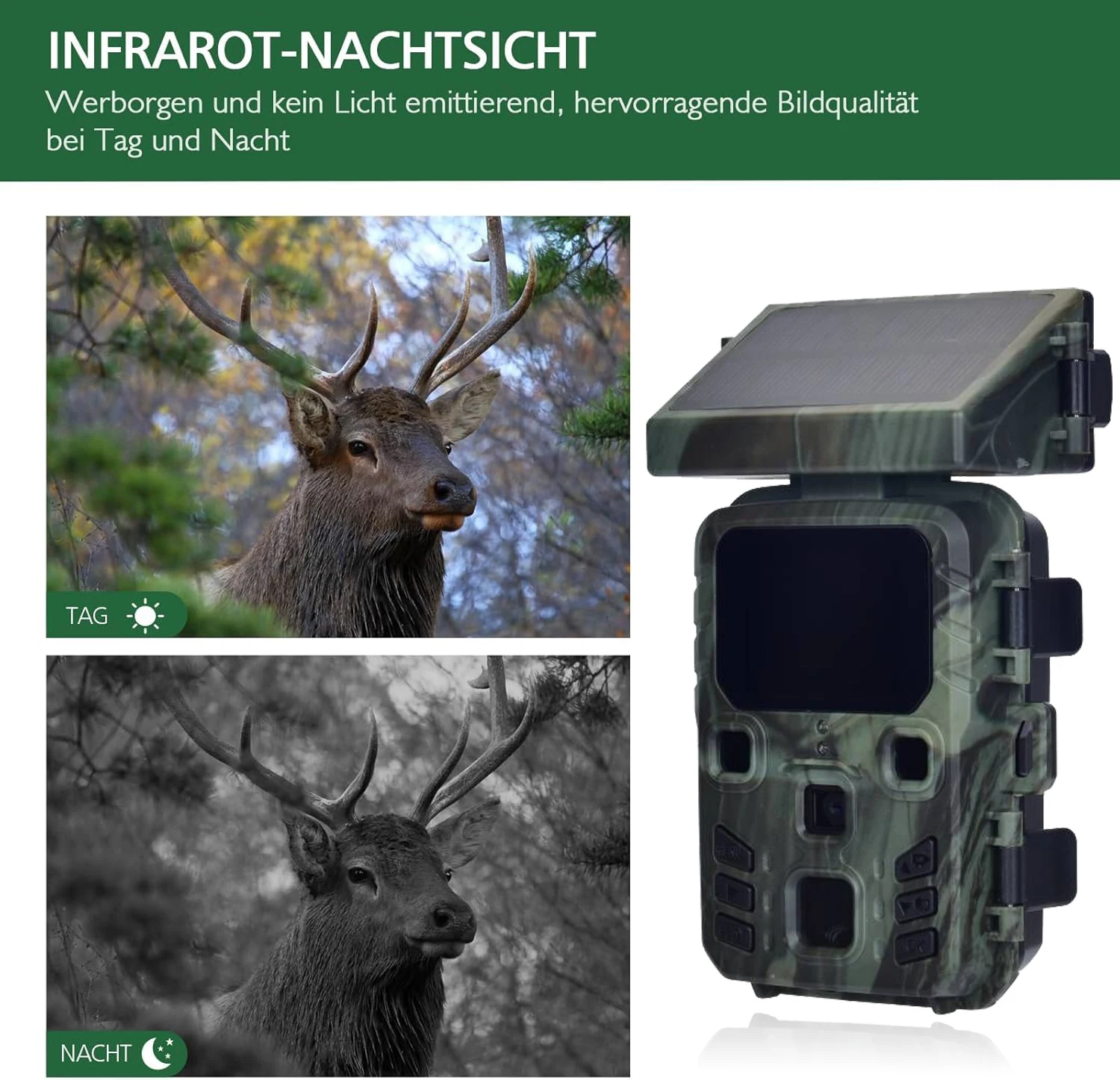 Thumbnail 2 - #8 Trending Wildlife Cameras Right Now