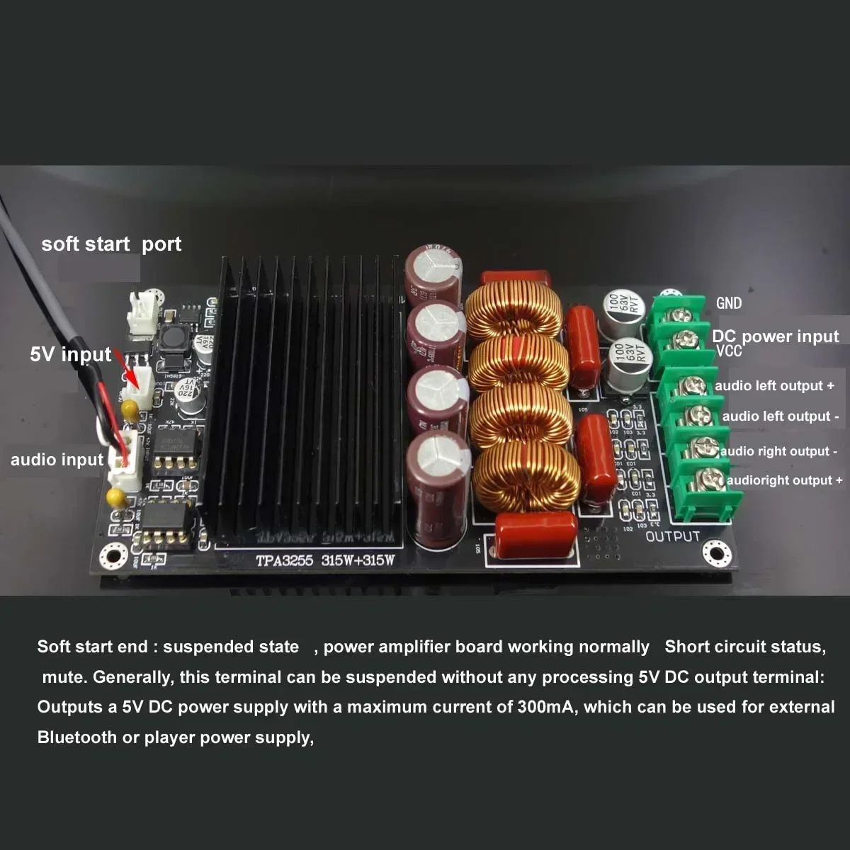 HiFi New Upgraded TPA3255 SAMP-100 TPA3255 2x300W 600W Stereo Class D High Power HiFi Amplifier Board view 3