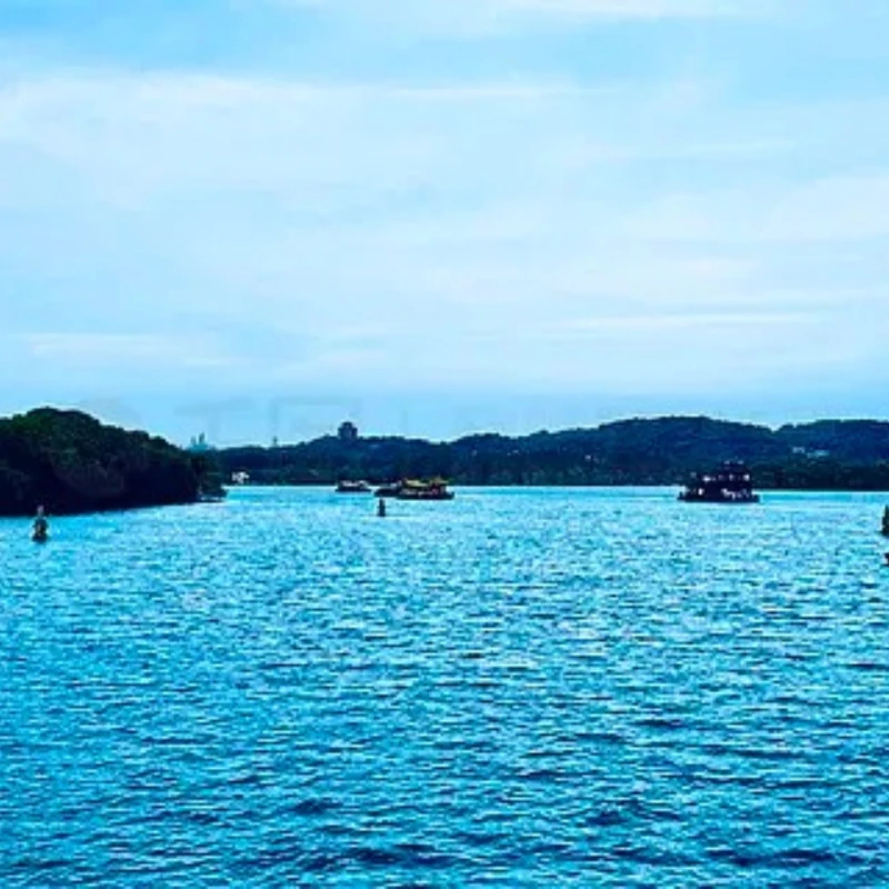 

GPS-модуль M9N со светодиодным индикатором компаса для контроллера полета Pix/APM Pixhawk 4, RC FPV Drone