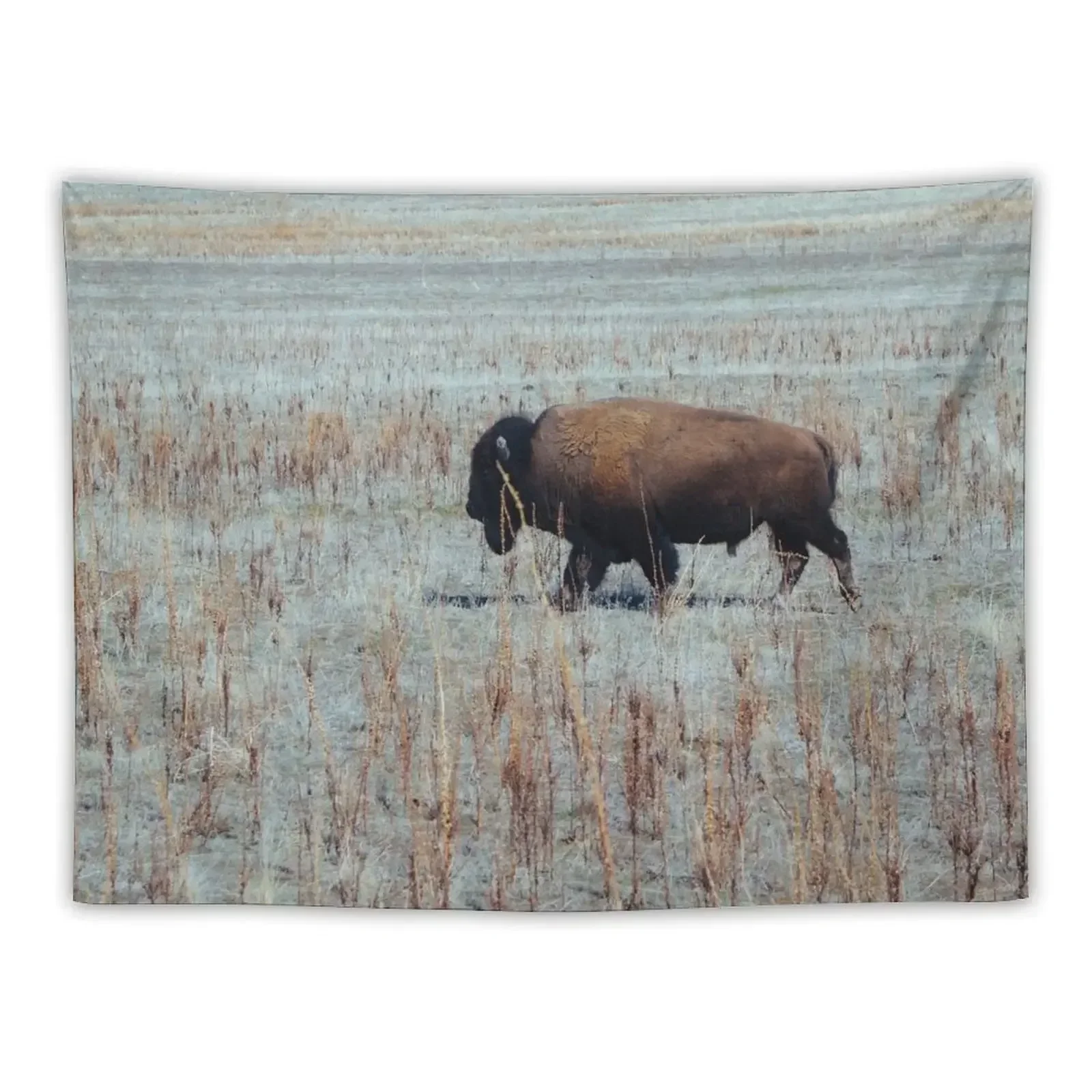 

Bison Tapestry Home Decorating Bedroom Decor Aesthetic Aesthetic Room Decor Tapestry