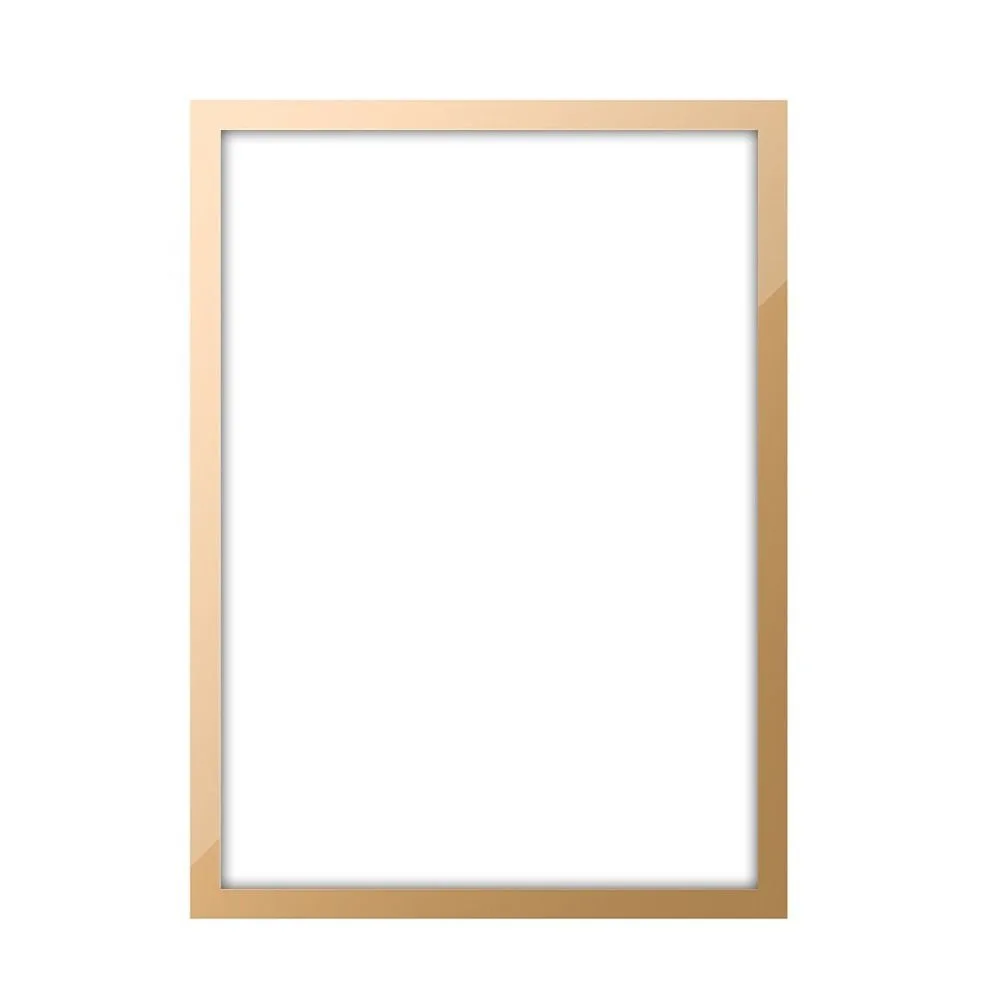 Magnetic Photo Frame Display Board for Artwork and Certificates