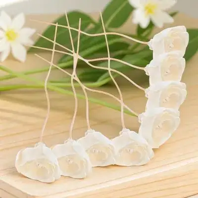 

8Pcs Beautiful Flower Aroma Diffuser Sticks Rattan Reed Sticks for Oil Diffuser Bottles Home Bedroom Living Room Natural