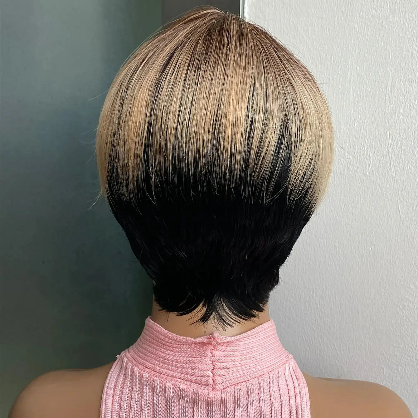 Short Hair Synthetic Wigs 2 Tones Hairstyles for Women Heat Resistant for Women Natural 2 Tones Bang Wig Short Haircut Wigs