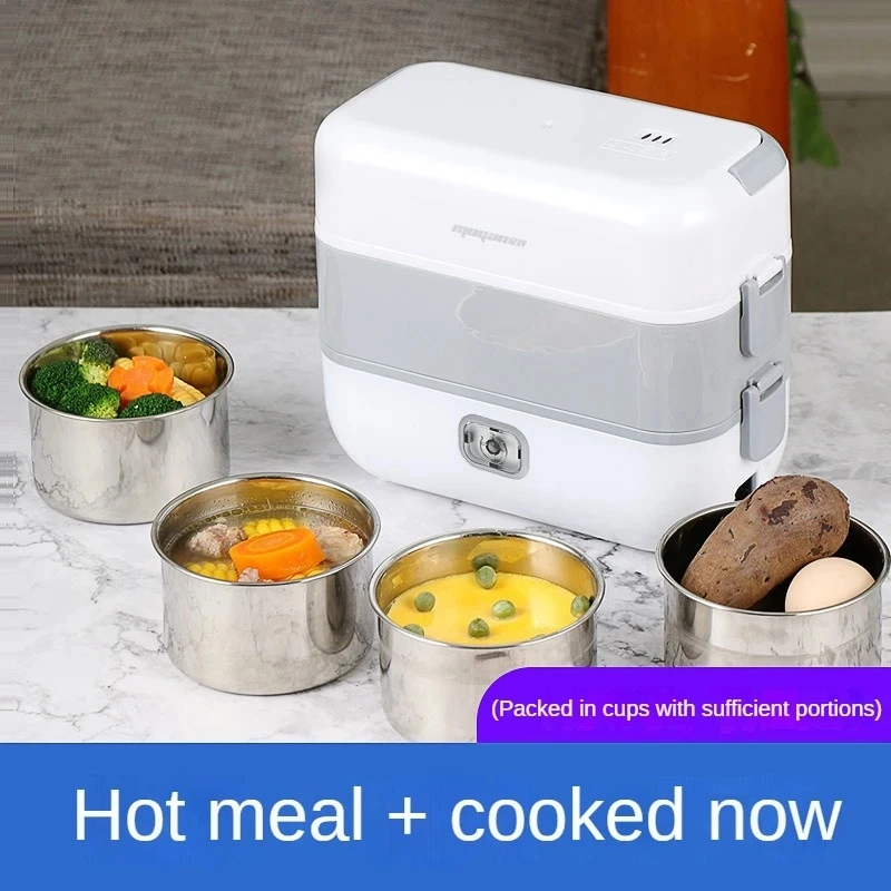 Household Electric Lunch Box Heat Preservation Heating, Double-layer Multifunctional Plug in, Mini Students Bring Meals to Work