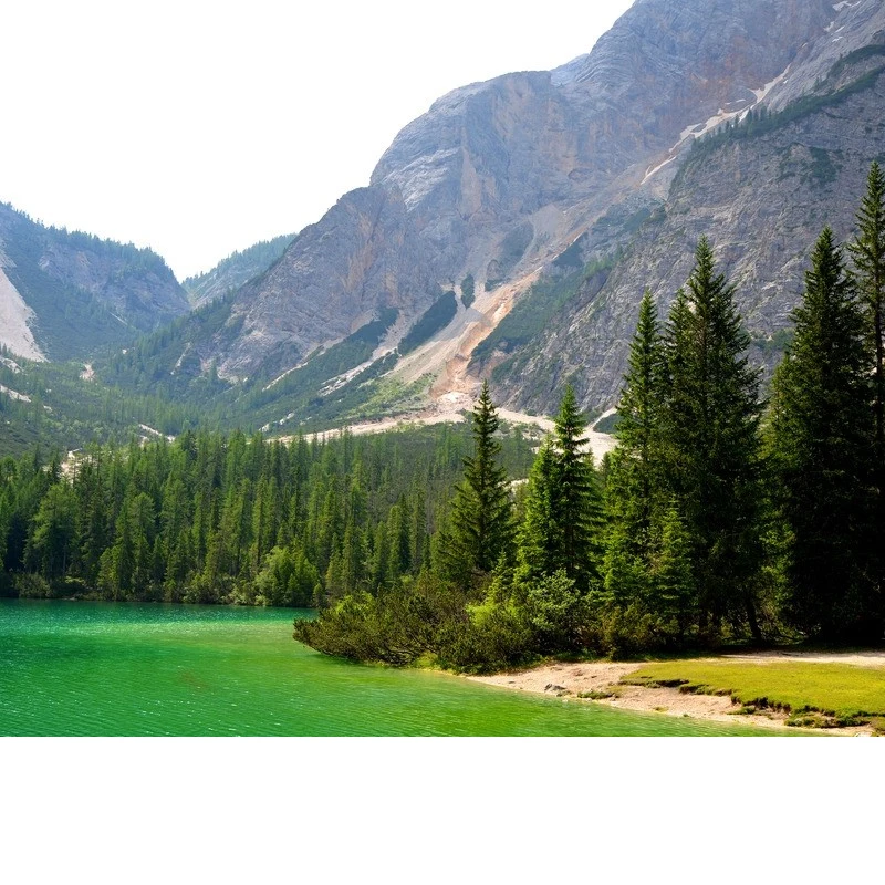 

Регулируемый комплект из 5 секционных спойлеров для переднего бампера Mercedes-Benz C-класса W204 2007-2014, спортивный обвес