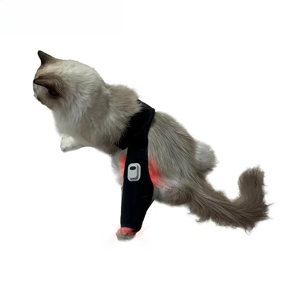 

Medical LED Red Light Therapy Belt for Dog & Horse Back 660nm 850nm Infrared PDT Machine for Body Application