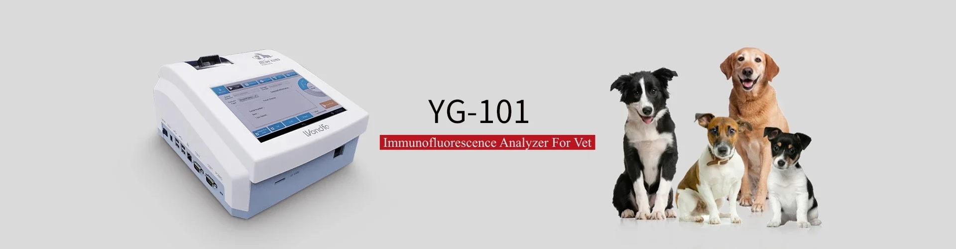 Wondfo Finecare Vet Progesterone Dog Test Machine Finecare Progesterone Machine Veterinary Equipment Dog  Test Kit Prog