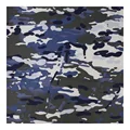 Australian Air Force