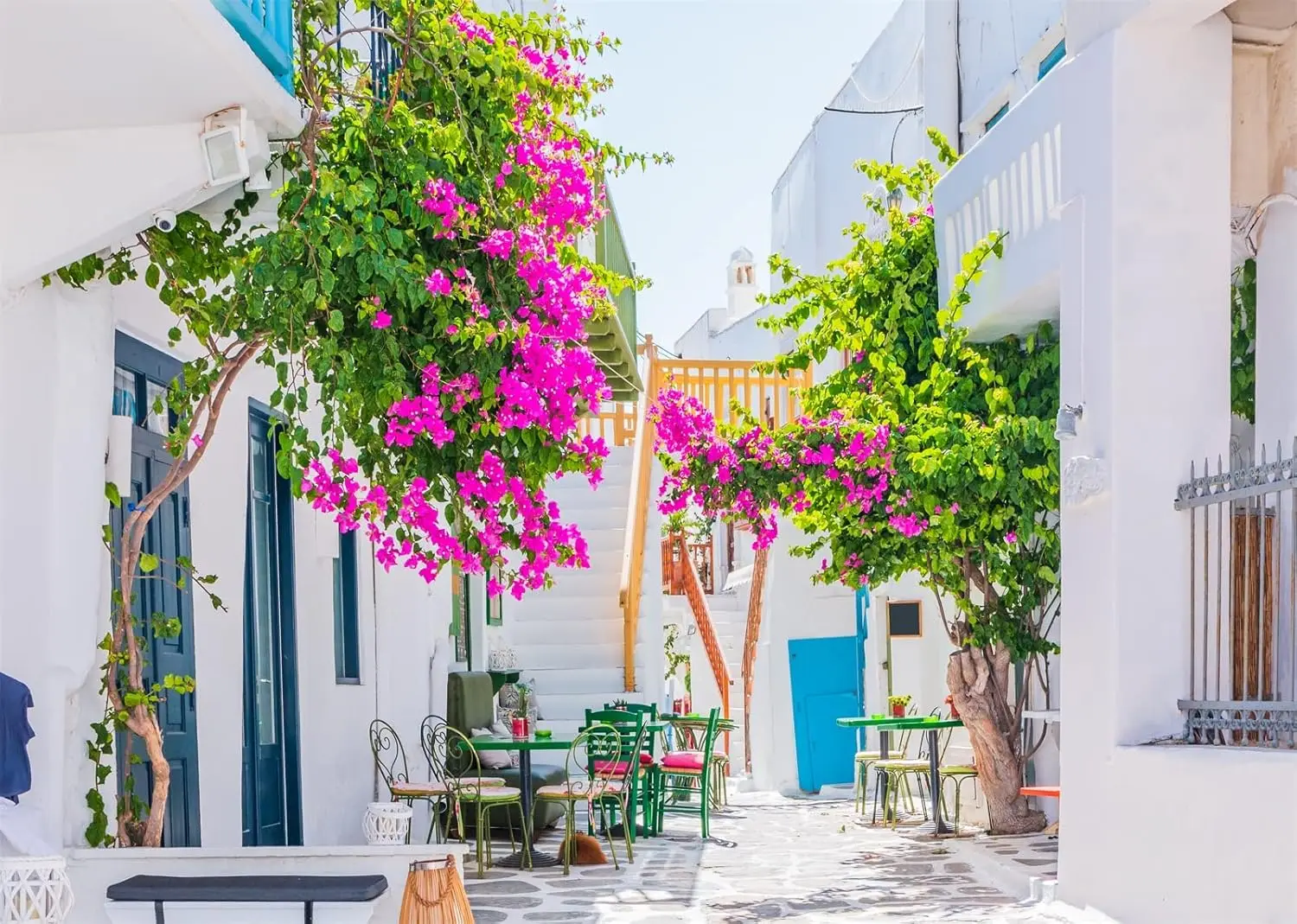 Greece Mykonos Town Narrow Street White House Blooming Flowers Santorini scenery photo background photography backdrop studio