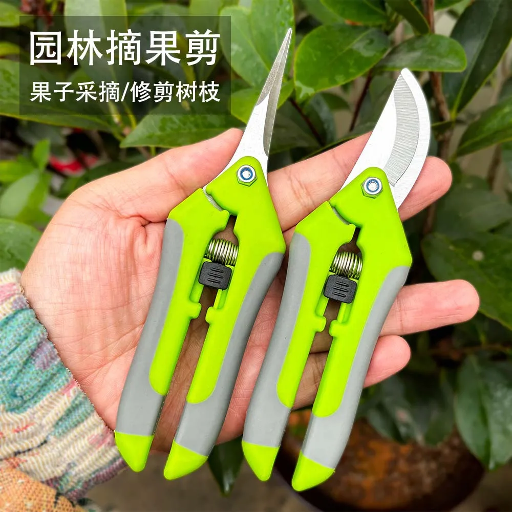 

Horticultural Scissors Pruning Vegetables and Fruits Pruning Branches Pruning Grapes Garden Tools Fruit Picking Scissors