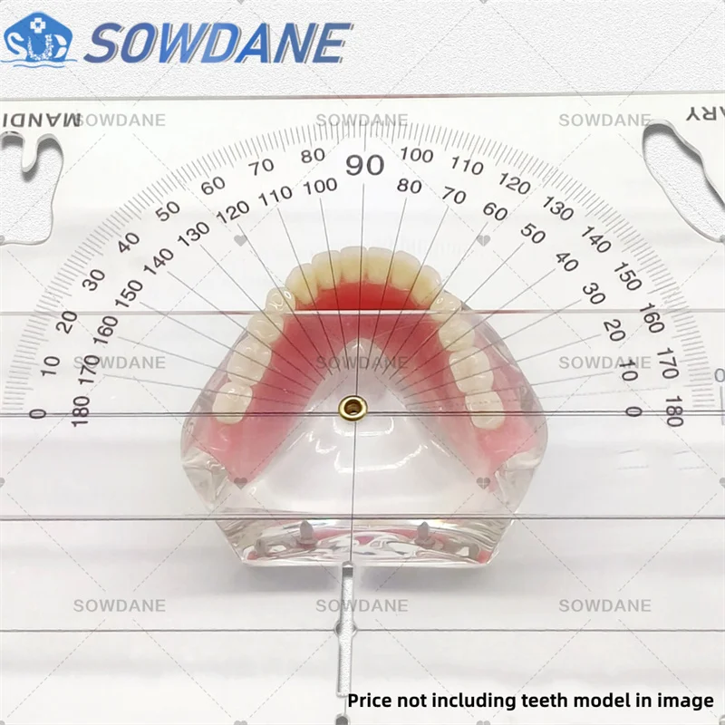 New Dental Guide Plate Dental Cephalometric Ruler X-ray Protractor Measuring Ruler