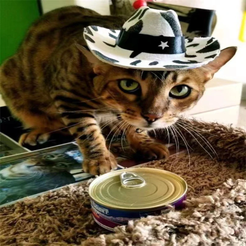 5点星装飾のカウボーイハット,カウボーイハット,牛柄,デニムのペットハット,調節可能なひも,ミニ子犬,猫,犬,子猫