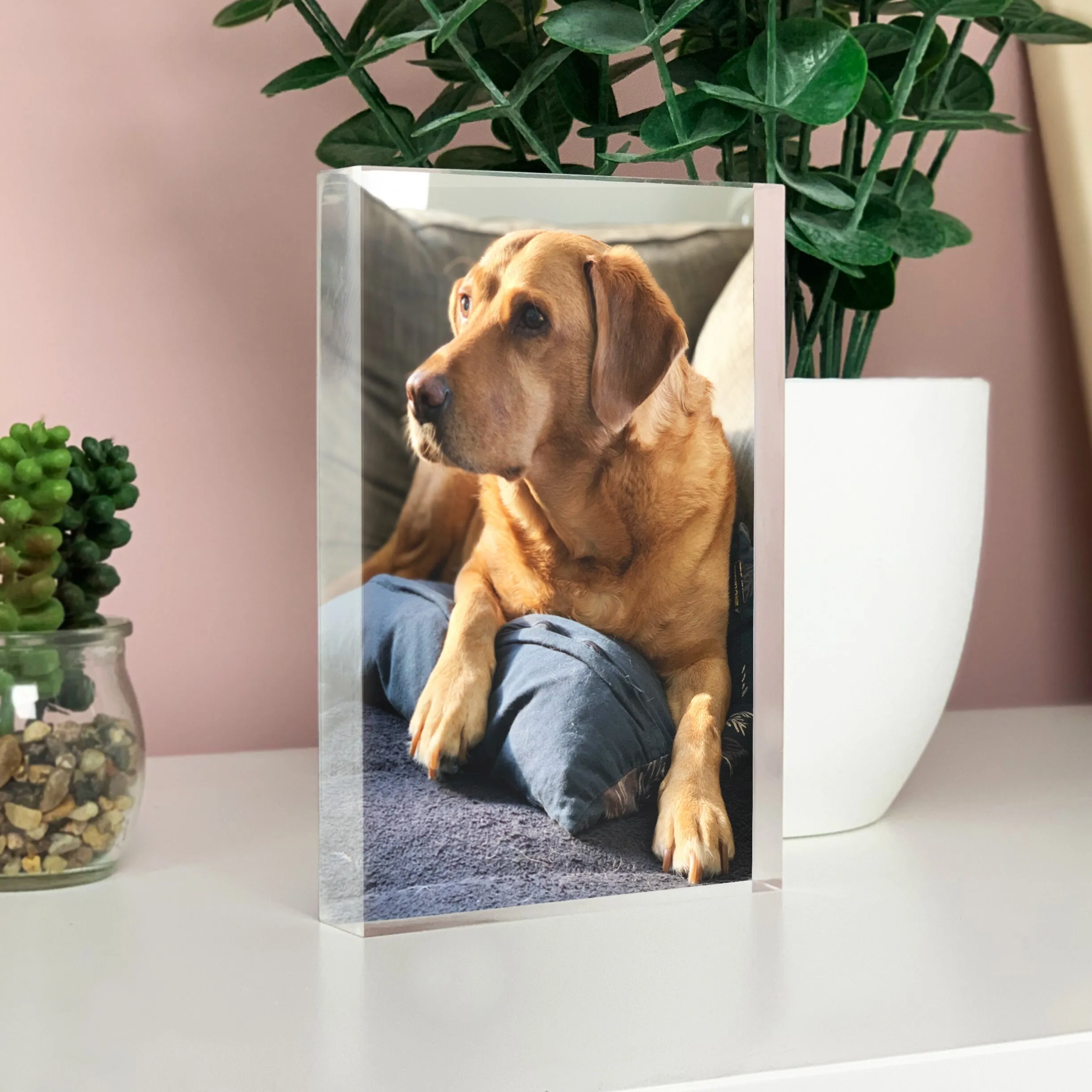Personalized Acrylic Photo Block, Custom Picture Print Display for Family Couple Pet Wedding Anniversary Birthday Home Desk Deco