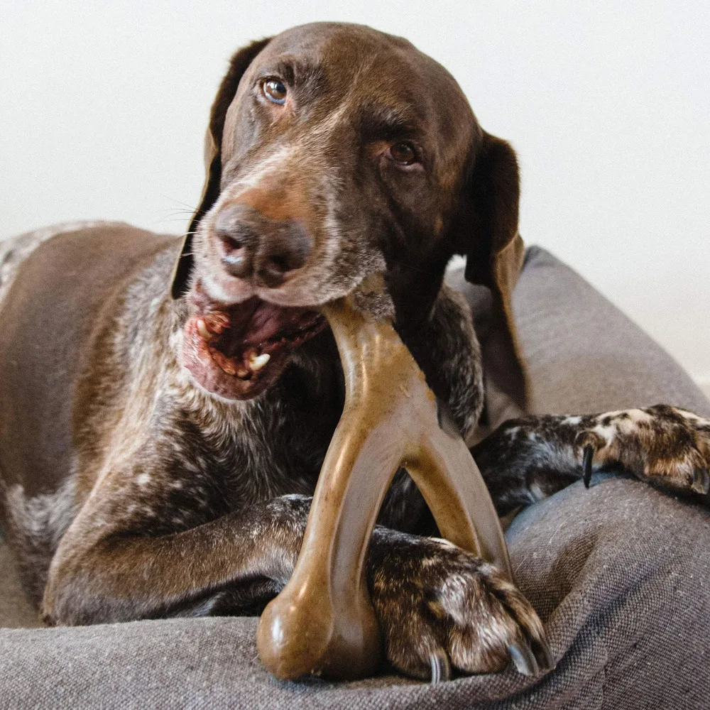 Thumbnail 2 - #42 Treat Dispensing Dog Toys Comparison Guide