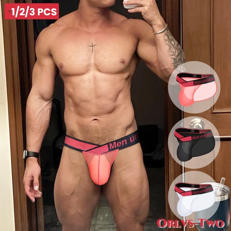 1/2/3 PCS Men\'s Sexy Briefs Ultra Transparent Thin Breathable Mesh Bikini Men Underpants High Cut Man Underwear Gays Panties