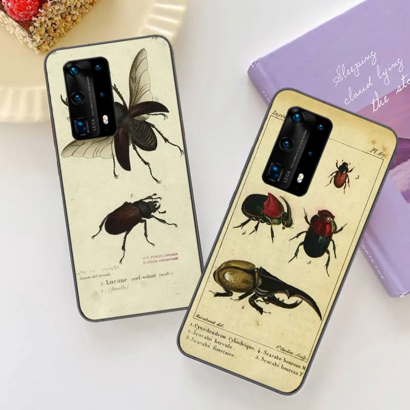 Bugs bees scientific decomposition Soft Clear Phone Case For Huawei P30 Lite P10 P20 P40 P50 Pro Mate 40 Pro 30 20 10 Lite Cover