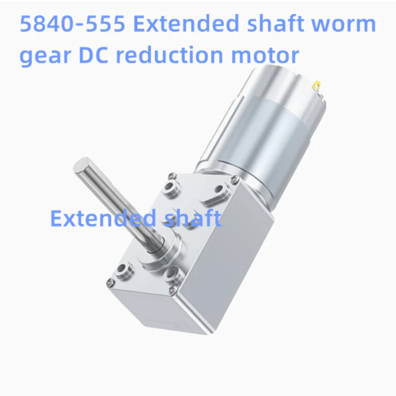 5840-555 Dual Axis Double Axis Plus Long Axis Single Axis Extended Axis Worm Gear DC Reduction Motor 12V24V Metal Gear Motor
