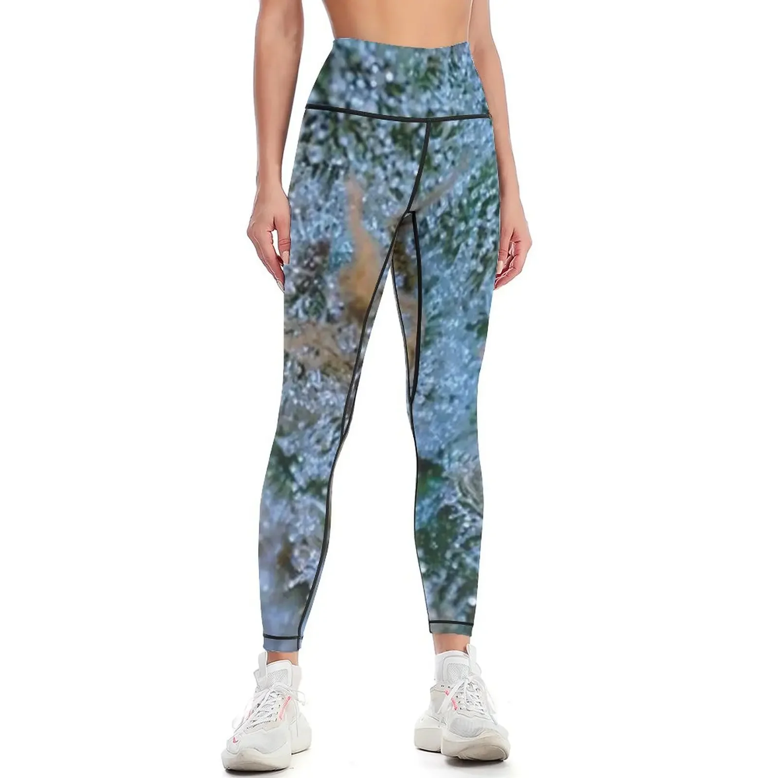 

Trichome 6 Leggings Sportswear woman gym for girls Sports pants woman Women's high waist Womens Leggings