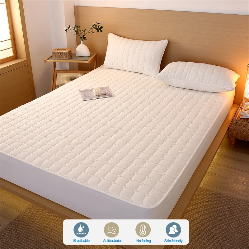 All-Season Yarn-Dyed Washed Cotton Mattress Cover, Anti-Mite Antibacterial Breathable Mattress Protector,Durable Fitted Sheet