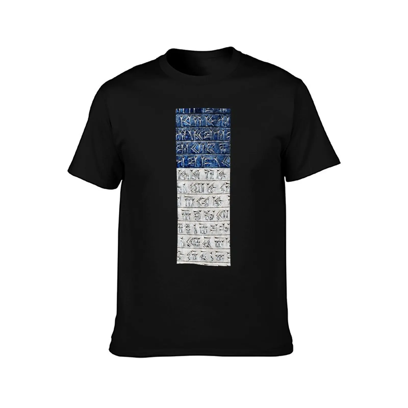Persian Cuneiform Inscription T-Shirt t shirt man casual T-Shirt