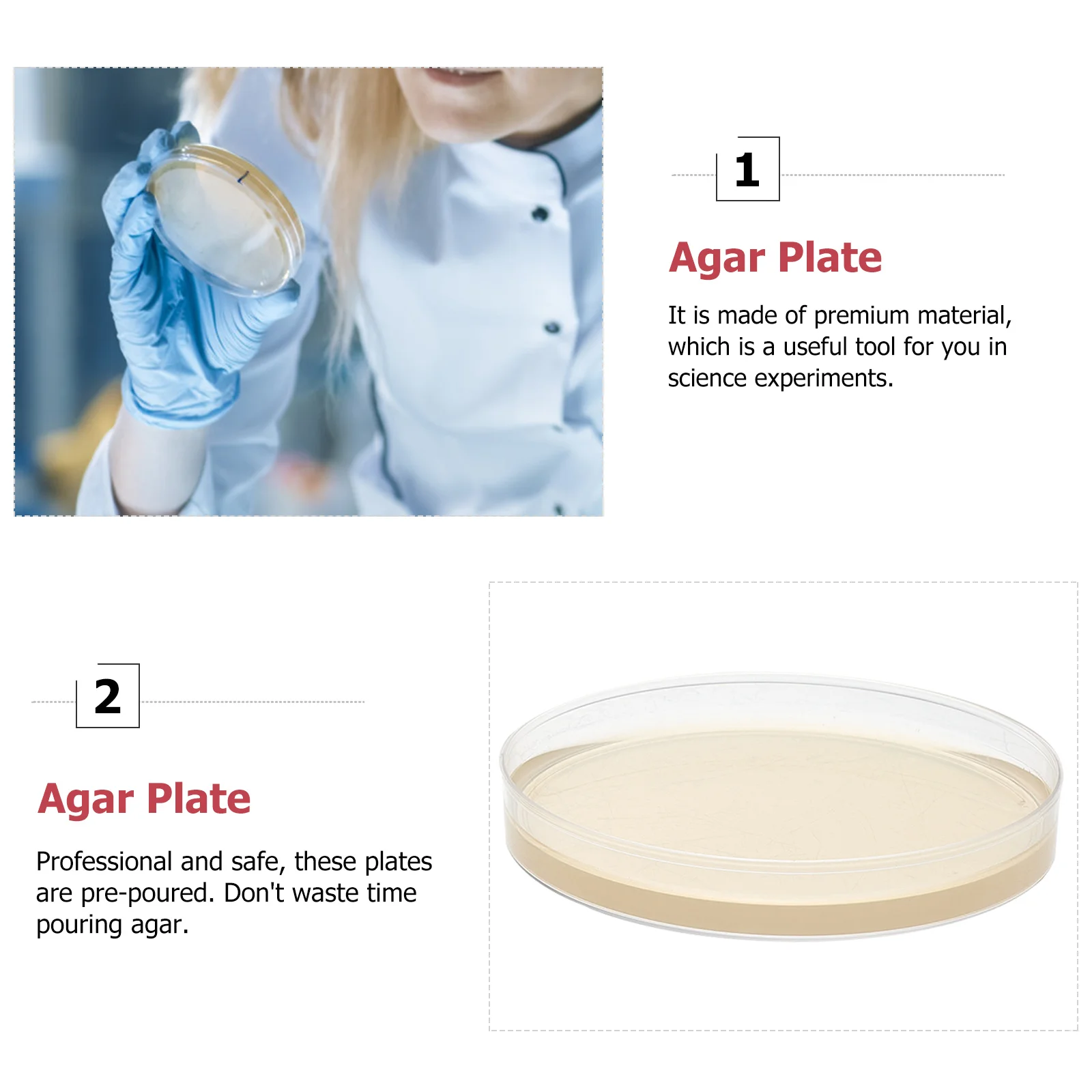 Scientific Sabouraud Dextrose Agar Plate Nutrient Medium Poured Plates Mushroom Petri Dish and Pipette