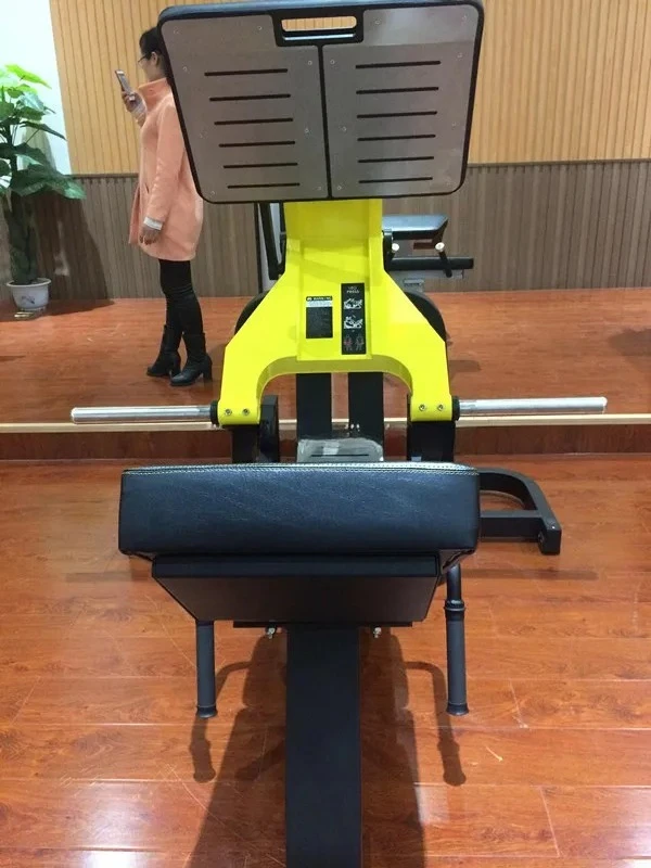Professional Trainers/Plate Loaded Gym Equipment Names Leg Press MachineXZH-9007