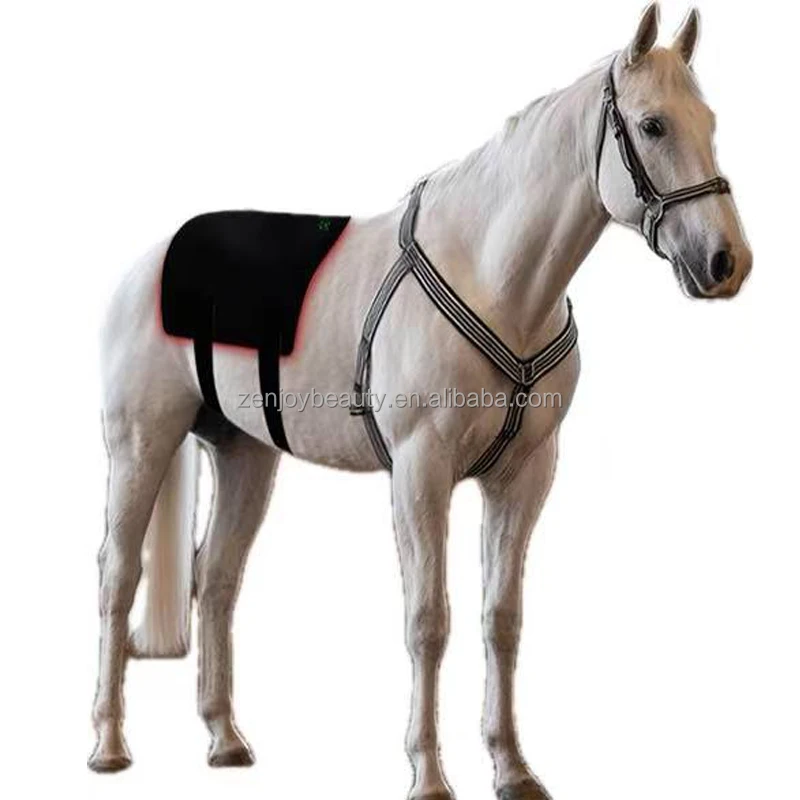 

2025 Portable Built-In Battery Horseback Red Light Therapy Pad Wrap Belt 660nm 850nm Equine Pain Relief Horse Care Products