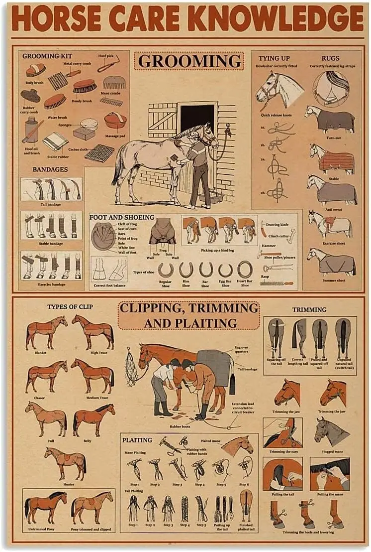 8X 12 Affiches de Connaissance sur l'Élevage Equin, Guide pour Éleveurs de Chevaux, Plaques Métalliques Décoratives pour Ferme, Club, Garage, Décoration Murale Vintage
