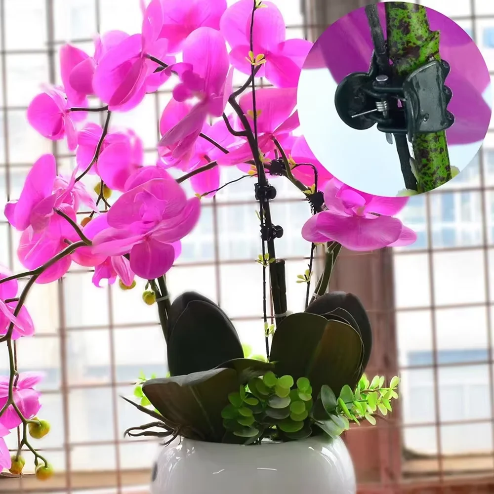 100-Pack Dark Green Orchid Clips Plant Support Garden Flower Vine Stems Vines Stalks G、row Upright for Flowers