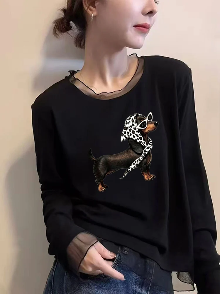 Fashionable Long Sleeve T-Shirt Women's Mesh Lace under Shirt Korean Style Autumn Winter New Style Slimming Top Commute Style