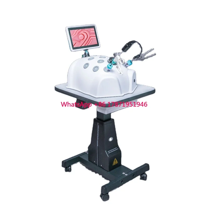 

laparoscopic training box endoscopy training simulator trainer box simuladores laparoscopicos laprocopy simulator endotrainer