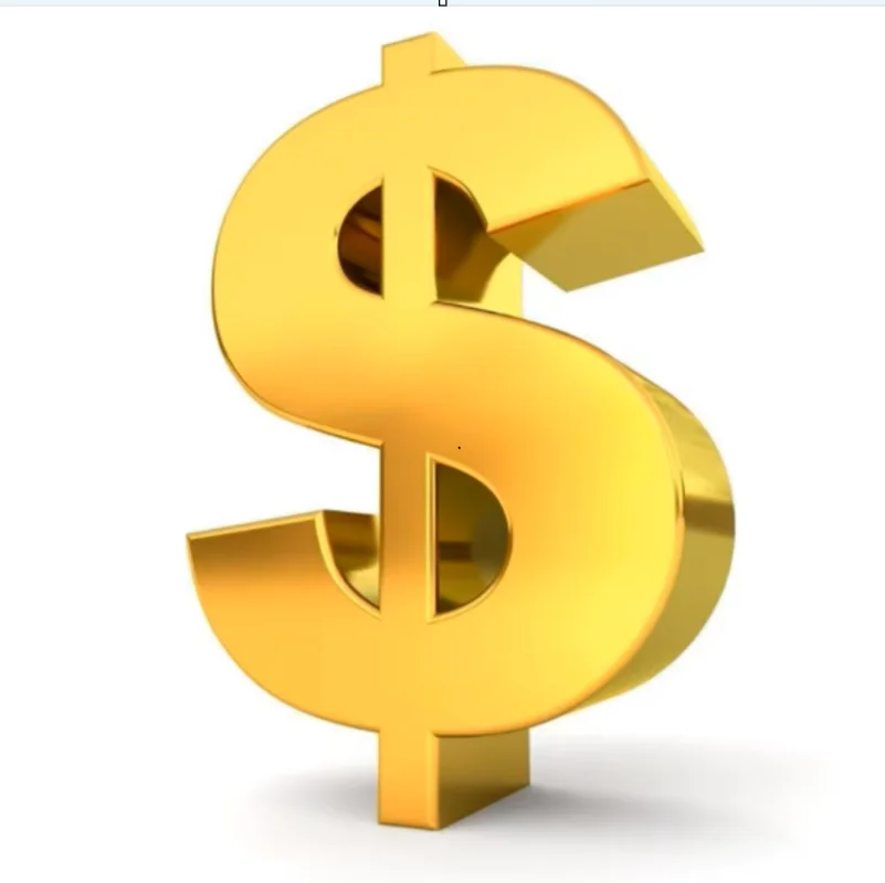 Custom Feature Fees - Customization Charge for Personalized Options