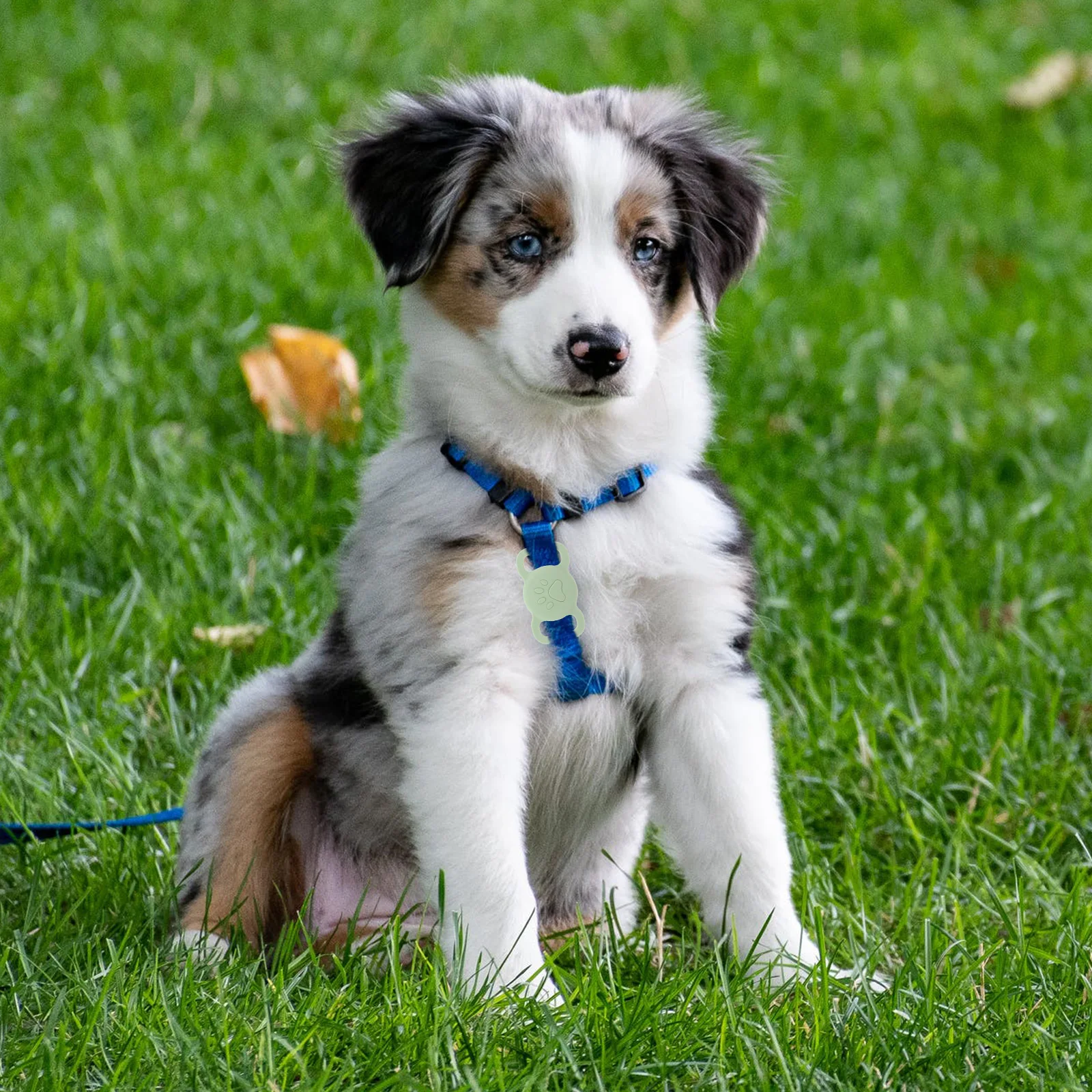 

Shockproof Silicone Cover Anti Lost Pet Tracker Protector Lightweight Protective Sleeve For Cat Collar Accessory